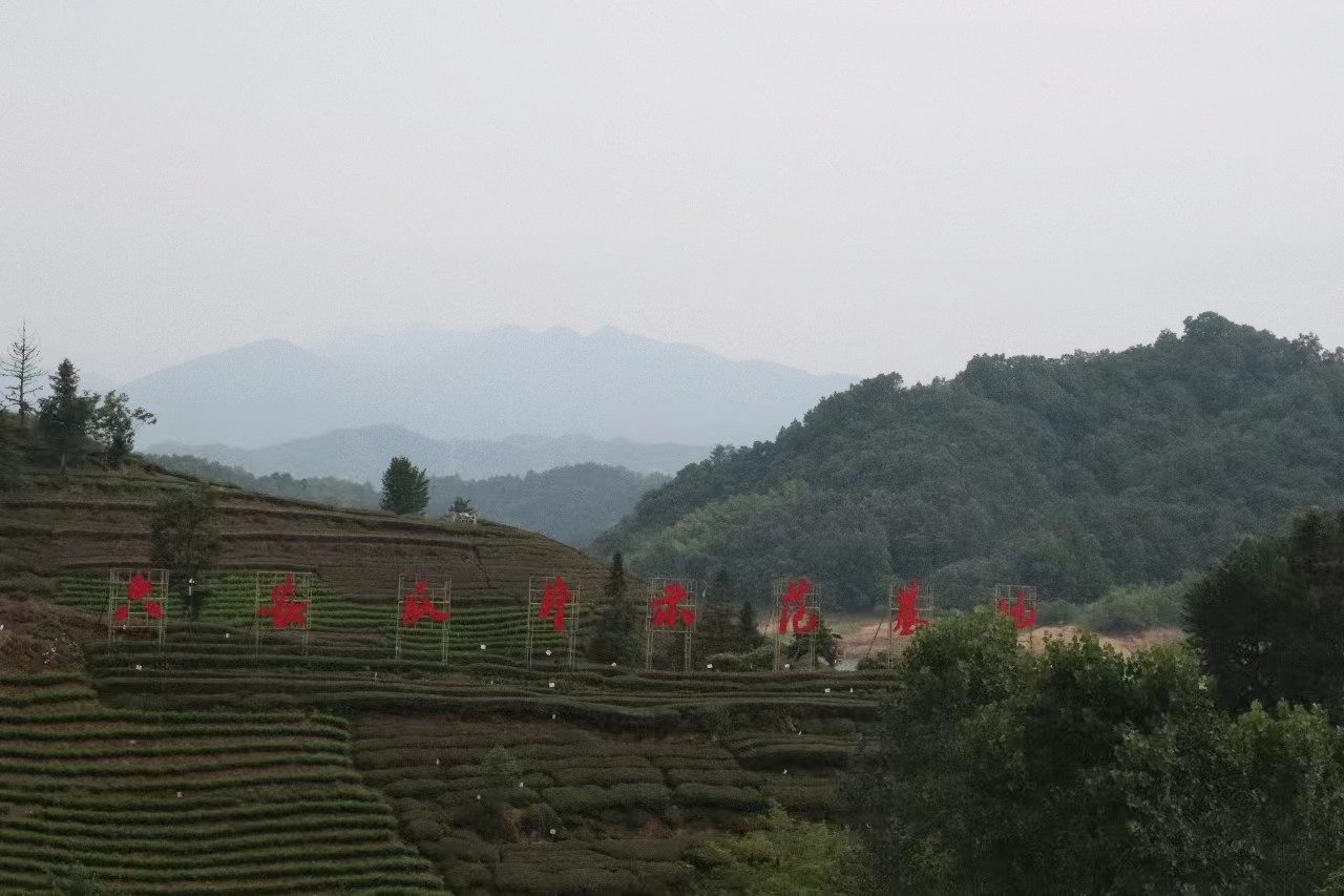 س푲Vl(xing)dƪ