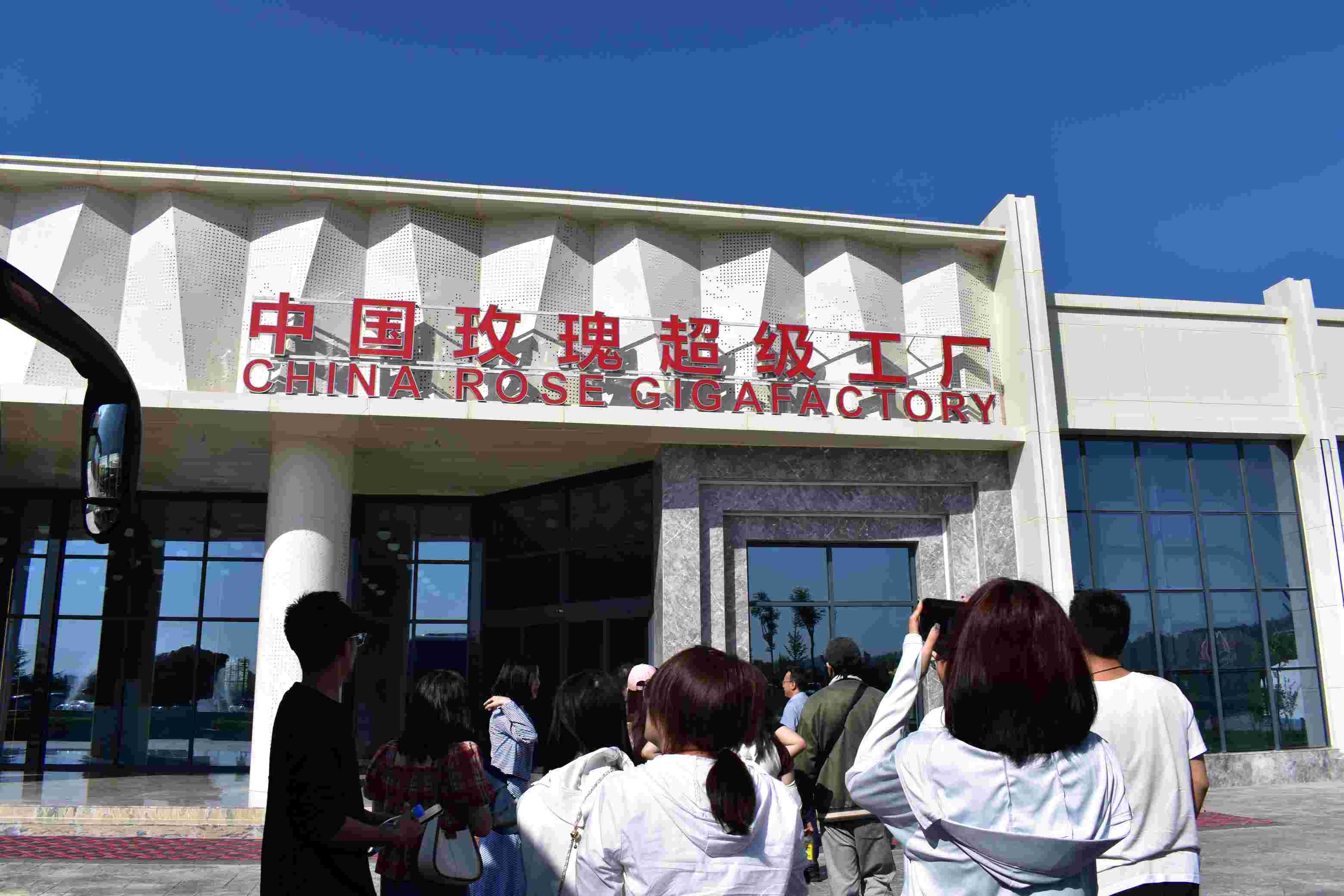 Їõ峬SR֮